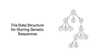 TrieDedup: A fast trie-based deduplication algorithm to 
handle ambiguous bases in high-throughput sequencing