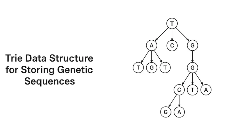 TrieDedup: A fast trie-based deduplication algorithm to 
handle ambiguous bases in high-throughput sequencing